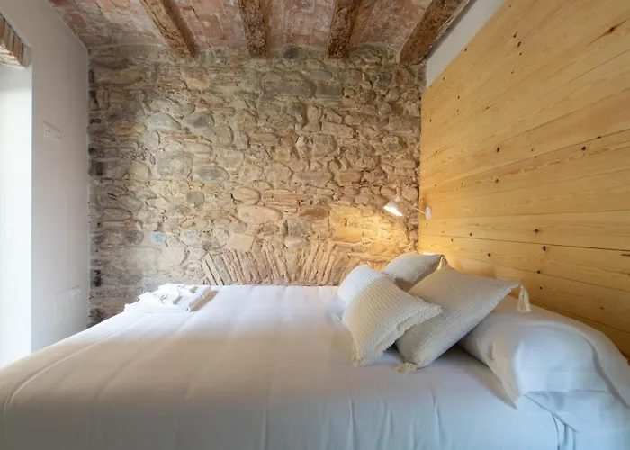 Bruma Boutique Apartman Girona